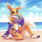  beach bikini black_sclera blue_eyes breasts canine claws clothed clothing cloud digimon eating eifie facial_markings female fluffy_tail fox fur gloves ice_cream looking_at_viewer mammal markings navel renamon sand sea seaside skimpy solo summer swimsuit water white_fur yellow_fur 