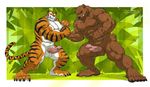  5_toes abs anthro arm_wrestling balls bear biceps big_muscles black_fur black_nose body_markings brown_fur circumcised claws clenched_teeth clothing duo erection eyes_closed fangs feline fight fur gay grin grizzly_bear humanoid_penis male mammal markings mike_the_tiger muscles nipples nude paws pecs penis plain_background pose sheath shorts side_view smile standing stripes struggling sweat teeth tiger toe_claws toes toned topless vein wfa white_fur 