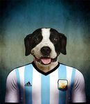  2014 anthro argentina argentinean canine dog dogo_argentino football male mammal solo 