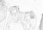  amy_rose anal anal_penetration anus barn bestiality big_penis breasts bucket doggystyle equine excito female feral from_behind hay hedgehog hindpaw horse interspecies large_penetration mammal open_mouth paws penetration penis pussy sega sex shocked sonic_(series) surprise surprise_buttsex video_games 