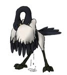  avian bird crane cum dripping eyes_closed feathers kung_fu_panda male master_crane masturbation oral solo whereiam 