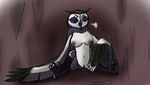  avian breasts claws feathers female fenghuang fingering kung_fu_panda masturbation open_mouth owl pussy pussy_juice sigh sitting solo talons toe_claws whereiam 