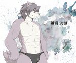  abstract_background anthro biceps black_nose bulge canine chest_tuft dog fur grey_fur grey_hair hair husky japanese_text kemono kouya_aotsuki looking_away male mammal morenatsu muscles navel nipples parma15 pecs solo speedo standing swimsuit text topless tuft yellow_eyes 