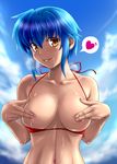  areolae bikini blue_hair blush breasts brown_eyes cloud covering_nipples day dha heart highres large_breasts looking_at_viewer menad_shisei navel rance_(series) short_hair sky solo spoken_heart swimsuit wet 