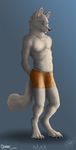  boxer_briefs bulge canine chasington fur grey_fur looking_away male mammal necklace plain_background solo standing underwear wolf 