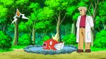  animated animated_gif epic magikarp ookido_yukinari pokemon pokemon_(anime) rotom what 