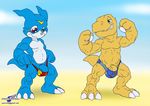  3_toes 4_fingers agumon anthro balls beach biceps big_muscles big_penis bipedal blue_skin chubby claws cub digimon dinosaur duo flaccid flexing gay green_eyes grin humanoid_penis jockstrap male musclegut muscles nude pecs penis red_eyes scales scalie seaside smile standing teeth toe_claws topless underwear veemon wolfblade yellow_skin young 