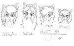  bee hair insect long_hair lovingwolf my_ittle_pony my_little_pony original_character sarah_(10_souls) shadow_(10_souls) sketch 