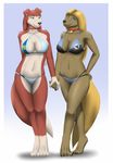  afghan aleso bikini border border_collie breasts canine colleen dog duo eyeliner female females hands holding hound invalid_color invalid_tag makeup mammal persia persia_(road_rovers) road_rovers rough_collie swimsuit vacation 