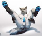  4_toes animal_genitalia anthro balls blue_eyes canine canine_penis claws digitigrade erection fox fur hindpaw kannos knot looking_at_viewer lying male mammal nude on_back pawpads paws penis plain_background presenting shadow smile soles solo toes 