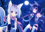  blue_hair breasts cat_ears cat_tail dress duo fox_tail hair hair_bow kokonobi legwear moon nanao_naru nanao_naru_(artist) red_eyes scarf sleeve small_breasts stockings swimsuit white_hair young 