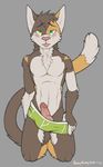  briefs cat erection feline heterochromia kneeling looking_at_viewer male mammal penis plain_background solo spazzyhusky tongue tongue_out underwear undressing 