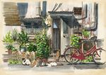  bamboo_screen bead_curtain bicycle bicycle_basket bottle building calico cat corrugated_galvanised_iron_sheet door electricity_meter flower_pot ground_vehicle no_humans open_door original outdoors pipes plant potted_plant road rust scenery water_bottle wind_chime window yokoya 