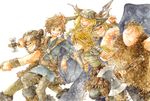  4boys armor armored_dress astrid_hofferson blonde_hair blue_eyes boots braid brown_hair circlet dragon dragon_wings fishlegs_ingerman helmet hiccup_horrendous_haddock_iii horned_helmet horns how_to_train_your_dragon ina_(gonsora) long_hair multiple_boys multiple_girls pantyhose ruffnut_thorston single_braid skirt smile snotlout_jorgenson toothless tuffnut_thorston western_dragon wings 