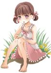  1girl aki_tarou brown_hair doujima_nanako dress grass highres persona persona_4 purple_eyes solo twintails 