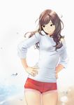  bare_shoulders beach blush breasts brown_eyes brown_hair carina_(xiaowoo) hands_on_hips highres long_hair md5_mismatch medium_breasts original parted_lips short_shorts shorts solo sweater 