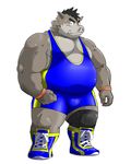  anthro biceps big_muscles black_hair boar bulge chubby clothing fur grey_fur hair leg_band looking_at_viewer male mammal musclegut muscles nipples pecs plain_background plantigrade porcine shiba-kenta shoes solo standing tight_clothing tusks white_background wrestling_singlet wristband 