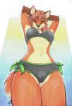  alphabitch anthro bra breasts camel_toe canine clothed clothing female fox looking_at_viewer mammal panties skimpy smile solo teasing underwear 