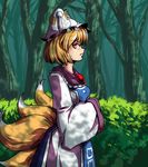  blonde_hair bush dress forest fox_tail frown hands_in_opposite_sleeves hat looking_at_viewer multiple_tails nature pillow_hat profile short_hair sideways_glance solo tabard tail tassel toluda touhou yakumo_ran yellow_eyes 