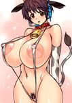  1girl :p anal animal_ears areolae breasts brown_eyes clitoris clitoris_slip collar cow_ears cow_tail elbow_gloves erect_nipples female gloves headset hips huge_breasts idolmaster idolmaster_cinderella_girls large_areolae navel nipples oikawa_shizuku pubic_hair puffy_nipples purple_hair pussy pussy_peek shiny shiny_skin shiruto short_hair sling_bikini solo swimsuit tail thick_thighs thighs tongue tongue_out uncensored wet wide_hips 