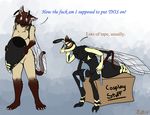  actini antennae anthro arthropod blue_eyes box breasts brown_hair brown_nose cat claws dialog duo english_text feline female hair hornet humor insect male mammal multi_limb patchi ratte siamese sitting standing text toe_claws wasp wings 