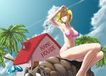 android_18 bikini blonde_hair blue_eyes cloud condensation_trail day dragon_ball dragon_ball_z front-tie_top kame_house navel noizu_(tragon) sky swimsuit turtle umigame_(dragon_ball) 