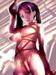  areolae bdsm bondage bound breasts character_request copyright_request dodai_shouji female gradient gradient_background long_hair medium_breasts nipples nude pointy_breasts rope shibari solo train train_interior uncensored 
