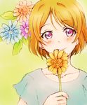  blush brown_hair flower highres koizumi_hanayo looking_at_viewer love_live! love_live!_school_idol_project purple_eyes shirt short_hair smile solo suito t-shirt 