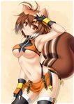  animal_ears antenna_hair armpits blazblue blush breasts brown_eyes brown_hair fingerless_gloves gloves highres large_breasts looking_at_viewer makoto_nanaya navel orange_skirt revealing_clothes roura short_hair skirt smile solo squirrel_ears squirrel_tail stomach tail thighhighs underboob 