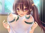  1girl blush breasts brown_eyes brown_hair game_cg indoors lactation large_breasts ponytail rape sky tentacle under_clothes 