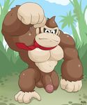  anthro balls barefoot biceps donkey_kong donkey_kong_(series) donkey_kong_country fur gorilla happy looking_at_viewer maldu male mammal manly muscles navel necktie nintendo nipples nude outside pecs penis primate smile solo thick_penis video_games 
