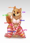  anthro black_nose breasts canine clothing cute dog doge english_text female fluff kneeling looking_at_viewer mammal meme nip_slip nipples plain_background shirt shorts solo stockings text unknown_artist white_background 