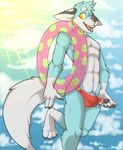  abs biceps canine fox male mammal muscles pecs sir_kavalier solo spazzyhusky summer yellow_eyes 