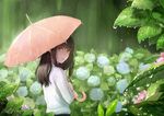  absurdres back black_hair brown_eyes flower highres hydrangea long_hair looking_at_viewer looking_back original outdoors rain romiy shirt sketch solo umbrella water_drop white_shirt 