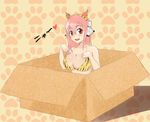  animal_ears animal_print bad_id bad_pixiv_id bikini blush box breasts cardboard_box cat_ears cleavage headphones highres in_box in_container large_breasts long_hair looking_at_viewer nitroplus open_mouth pink_hair red_eyes rozencruz smile solo super_sonico swimsuit tiger_print 