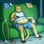  cat chubby clothed clothing eating feline frown garbage grumpy kostos_art male mammal overweight plantigrade remote shirt shorts sitting slippers slob sofa solo tank_top the_truth whiskers 