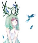  antlers bangs bird blue_eyes blue_feathers bluebird dress feathers green_hair gumi highres izumi4195202 leaf plant simple_background solo vines vocaloid white_background 
