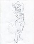  arms_above_head balls canine collar coyote harness male mammal nude penis penis_tip ruaidri sheath sketch solo 