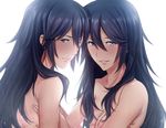  bloom blue_eyes blue_hair collarbone convenient_censoring dual_persona fire_emblem fire_emblem:_kakusei hair_between_eyes long_hair lucina multiple_girls nude parted_lips selfcest smile sunlight tusia upper_body white_background yuri 