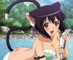  animal_ears bikini black_hair blush breasts brown_eyes cleavage megami scan shaomei_rin shining_hearts swimsuit tail water 