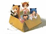  animal_ears blue_eyes blue_hair brown_eyes brown_hair catgirl elbow_gloves gakuen_utopia_manabi_straight gloves inamori_mika mikan observerz odori_momoha short_hair tagme uehara_mutsuki 