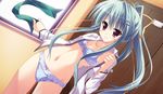  angel_ring bra game_cg open_shirt panties shiki_azusa tagme underwear undressing 