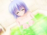  bath blue_hair game_cg red_eyes valentine_pink 