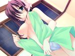  blue_eyes blush breasts game_cg hanasaki_uri harukazedori_ni_tomarigi_wo_2nd_story nipples no_bra panties purple_hair short_hair towel underwear 