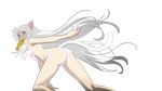  animal_ears bakemonogatari bra catgirl hanekawa_tsubasa long_hair monogatari_(series) tail transparent underwear vector white_hair 