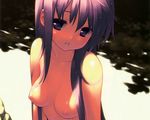  breasts gayarou long_hair natsu_no_ame nipples purple_eyes purple_hair segawa_rikako topless 