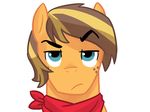  equine friendship_is_magic hair horse kilala97 male mammal my_little_pony original_character pony scarf smile two_tone_hair 