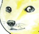  bad_pixiv_id doge looking_at_viewer no_humans solo whiskers yue_nan 