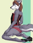  brown_eyes butt canine corset crossdressing digitigrade fuzzwolf girly lingerie looking_at_viewer male mammal panties pawpads pose smile solo truegrave9 underwear wolf 