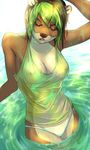  brown_fur brown_hair brown_nose clothed clothing eyes_closed female fur green_hair hair mammal mustelid otter panties skimpy solo translucent underwear uni water 